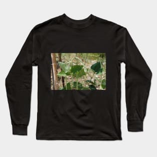 Yardlong Beans on Vine Long Sleeve T-Shirt